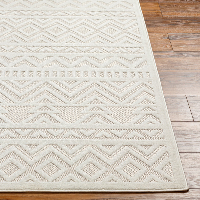 Surya San Diego Sfg-2323 Beige Rug.