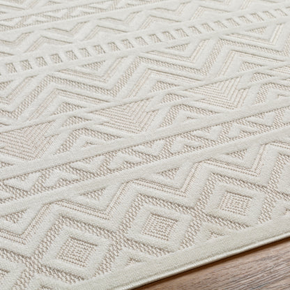 Surya San Diego Sfg-2323 Beige Area Rug