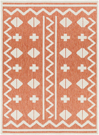 Surya San Diego Sfg-2328 Orange Area Rug