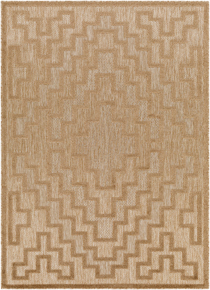 Surya San Diego Sfg-2329 Brown Area Rug