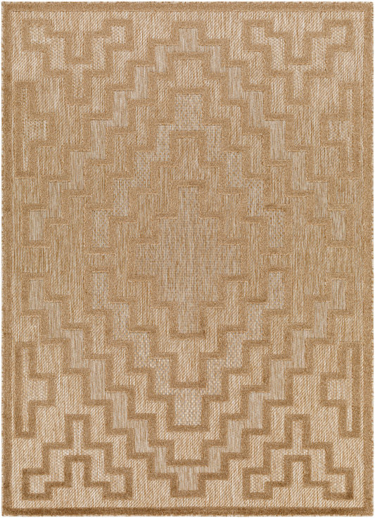 Surya San Diego Sfg-2329 Brown Area Rug