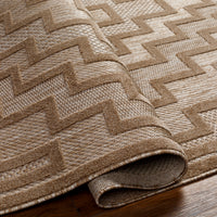 Surya San Diego Sfg-2329 Brown Area Rug