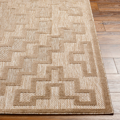 Surya San Diego Sfg-2329 Brown Area Rug