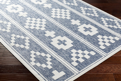 Surya San Diego Sfg-2331 Blue Area Rug