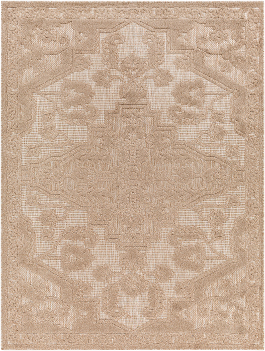 Surya San Diego Sfg-2337 Brown Area Rug