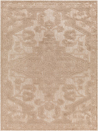 Surya San Diego Sfg-2337 Brown Area Rug