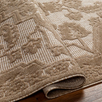 Surya San Diego Sfg-2337 Brown Area Rug