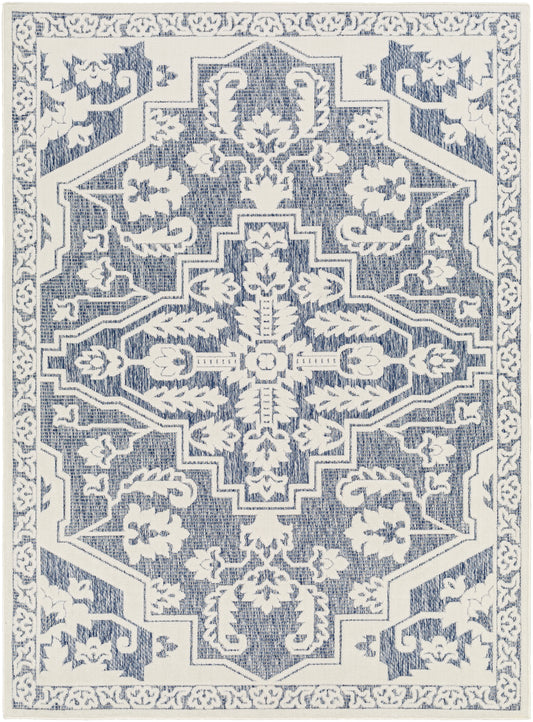 Surya San Diego Sfg-2338 Blue Area Rug