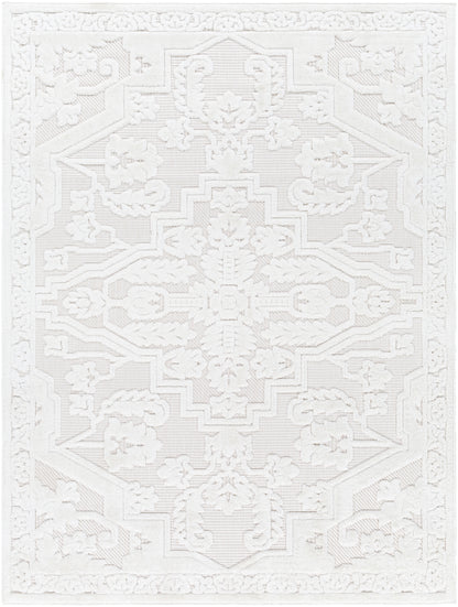 Surya San Diego Sfg-2339 White Area Rug