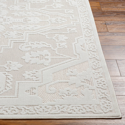 Surya San Diego Sfg-2339 White Area Rug