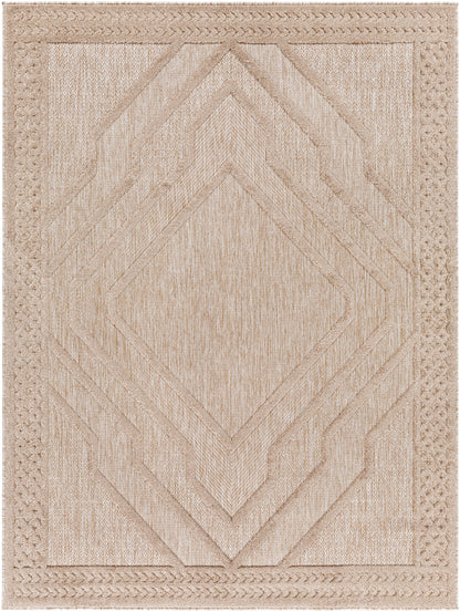 Surya San Diego Sfg-2354 Brown Area Rug