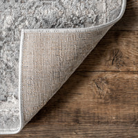 Nuloom Lola Distressed Nlo2653A Beige Area Rug