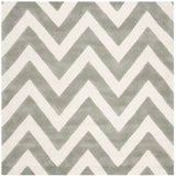 Safavieh Safavieh Kids Sfk921C Grey / Ivory Rugs.