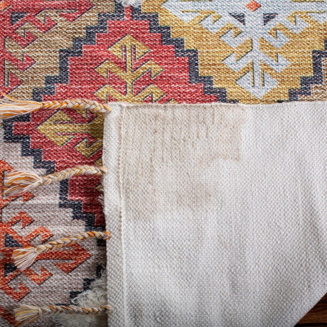Safavieh Saffron Sfn102P Rust / Ivory Rugs.