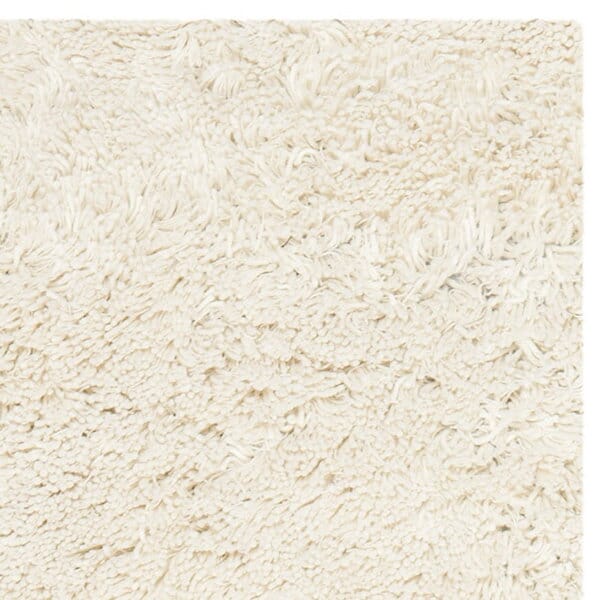 Safavieh Shag Sg240V Ivory Shag Area Rug