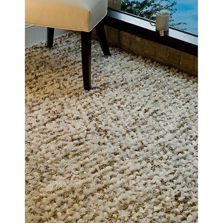 Safavieh Shag Sg640A White / Beige Shag Area Rug