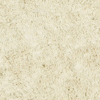 Safavieh Shag Sg731A Ivory Shag Area Rug