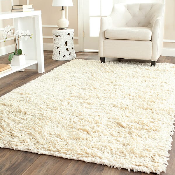 Safavieh Shag Sg731A Ivory Shag Area Rug