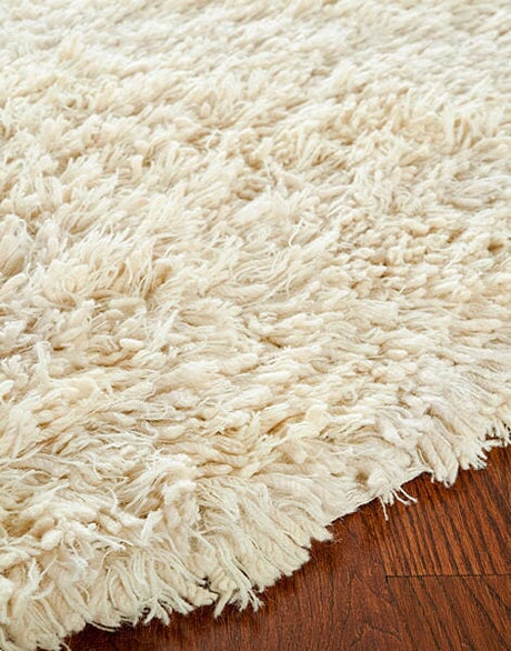 Safavieh Shag Sg731A Ivory Shag Area Rug