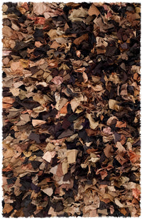 Safavieh Shag Sg951B Brown / Multi Shag Area Rug