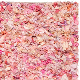 Safavieh Shag Sg951P Ivory / Pink Rugs.