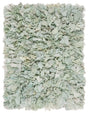 Safavieh Rio Shag Sg951Y Light Green Shag Area Rug