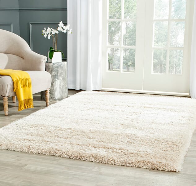 Safavieh Charlotte Shag Sgc720A Ivory Shag Area Rug