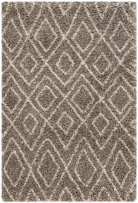 Safavieh Hudson Shag Sgh332B Grey / Ivory Rugs.