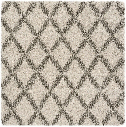 Safavieh Hudson Shag Sgh333A Ivory / Grey Shag Area Rug