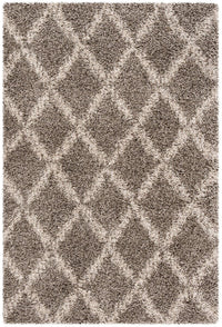 Safavieh Hudson Shag Sgh333B Grey / Ivory Shag Area Rug