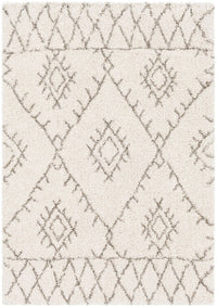 Surya Serengeti Shag Sgt-2301 White, Khaki, Taupe, Dark Brown Moroccan Area Rug