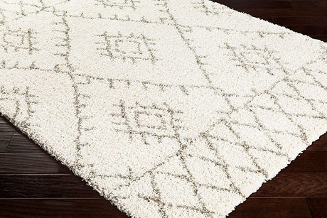 Surya Serengeti Shag Sgt-2301 White, Khaki, Taupe, Dark Brown Rugs.