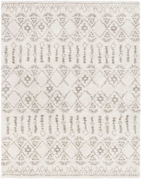 Surya Serengeti Shag Sgt-2314 Taupe, Khaki, White, Dark Brown Moroccan Area Rug