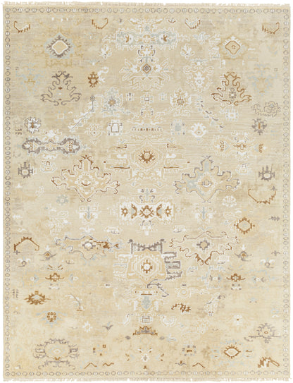 Surya Shiraz Shz-2300 Beige Area Rug