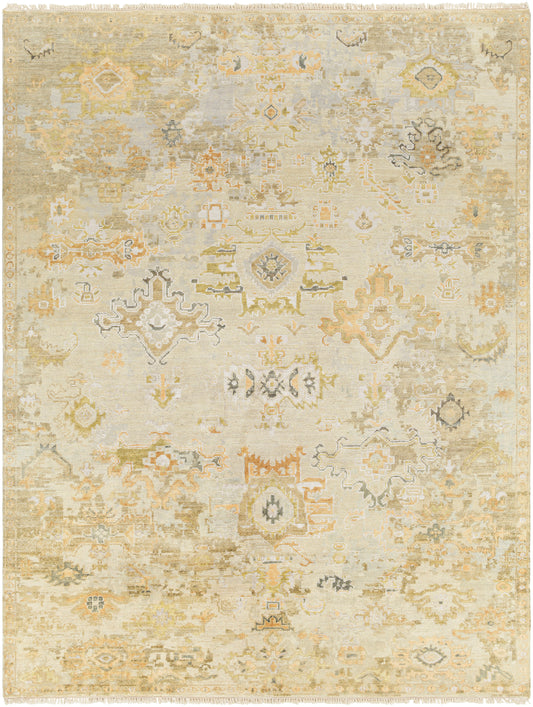 Surya Shiraz Shz-2301 Tan & Ivory Area Rug