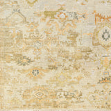 Surya Shiraz Shz-2301 Tan & Ivory Rug.