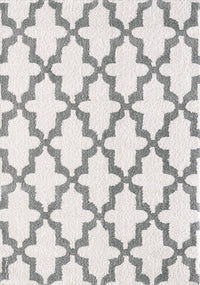 Dynamic Silky Shag 5906 White / Silver Shag Area Rug