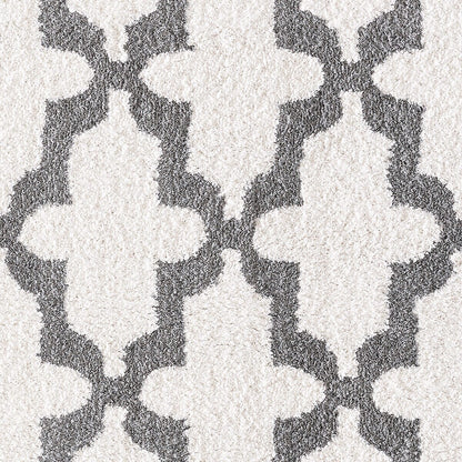 Dynamic Silky Shag 5906 White / Silver Shag Area Rug