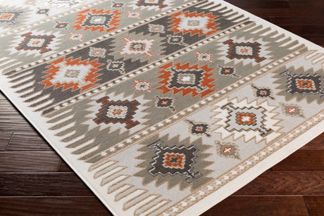 Surya Skagen Skg-2303 Light Gray, Silver Gray, Terracotta, Charcoal Rugs.