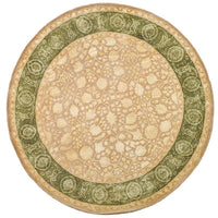 Safavieh Silk Road Skr212A Ivory / Sage Area Rug