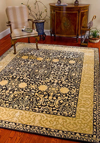 Safavieh Silk Road Skr213B Black / Ivory Area Rug