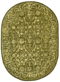 Safavieh Silk Road Skr213D Sage / Sage Area Rug