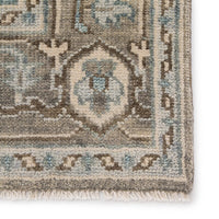 Jaipur Salinas Flynn Sln07 Gray Area Rug