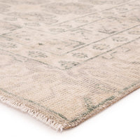 Jaipur Salinas Stage Sln08 Ivory Area Rug