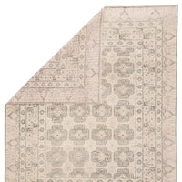 Jaipur Salinas Stage Sln08 Ivory Area Rug