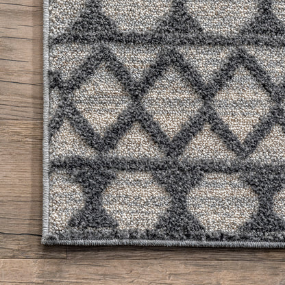 Nuloom Cameron Moroccan Nca1317B Gray Area Rug