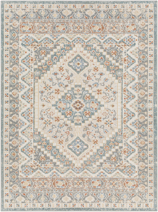 Surya Santana Snn-2302 Grey Area Rug