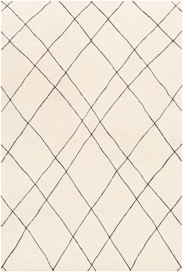 Surya Sinop Snp-2304 Black, Cream Rugs.