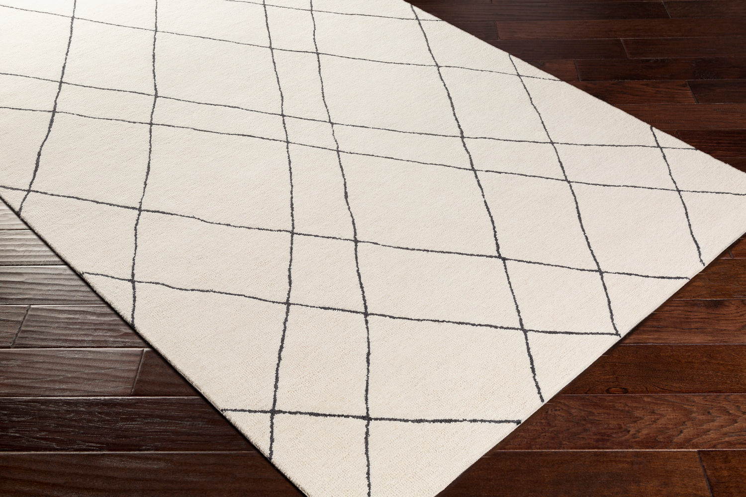 Surya Sinop Snp-2304 Black, Cream Rugs.