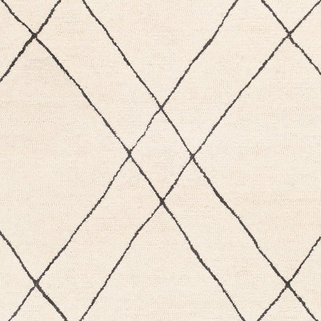 Surya Sinop Snp-2304 Black, Cream Rugs.